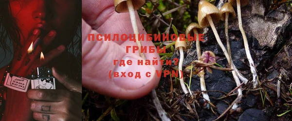 кокс Вяземский