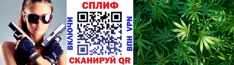 Конопля OG Kush  Лосино-Петровский 